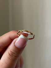 Load image into Gallery viewer, In the Details Ring
